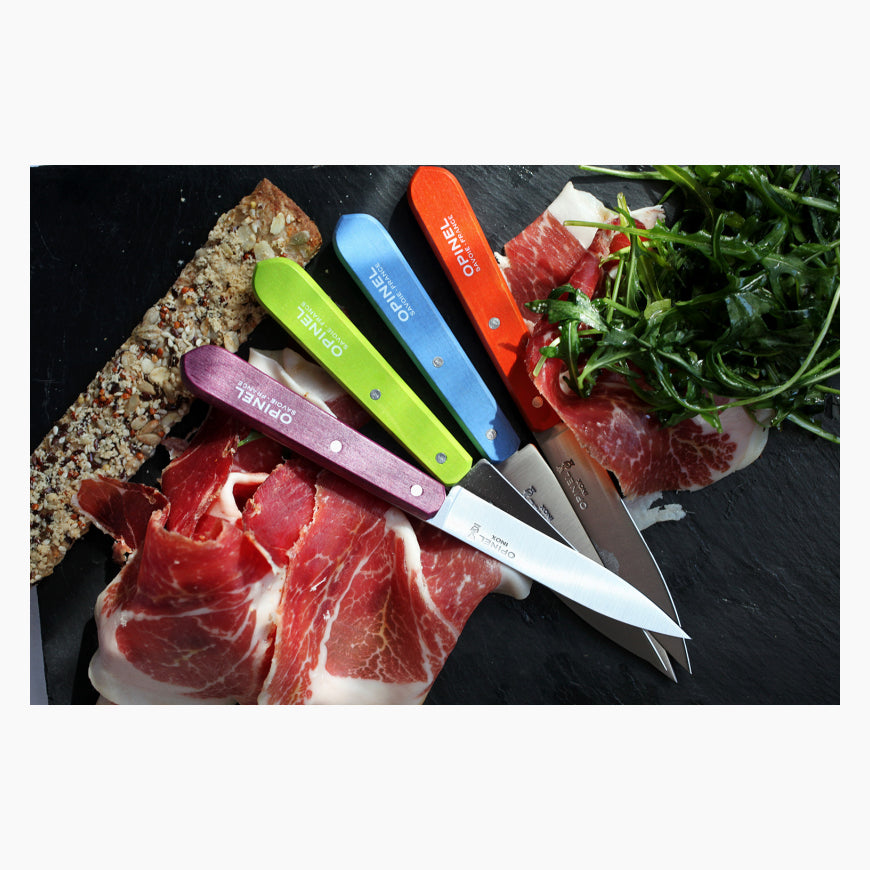 Coffret 4 Couteaux d'Office Opinel N°112 Acidulés Inox - Lame 10 cm