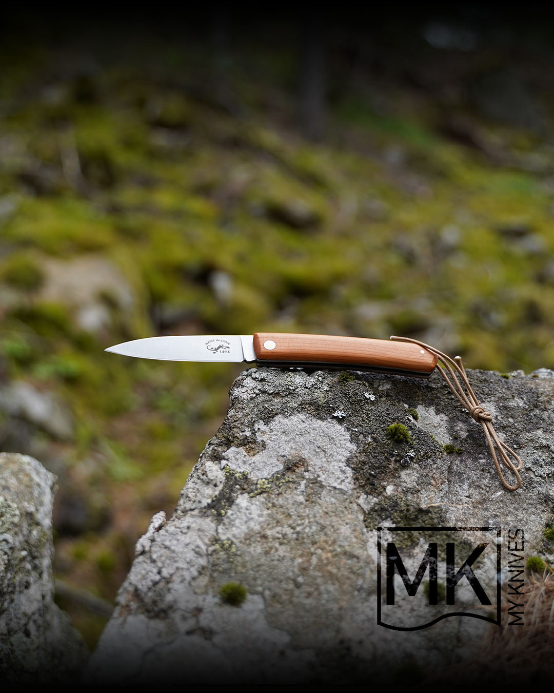 Couteau Pliant Salamandra If 10cm : Artisanal Espagnol, Bois Noble et Étui Cuir