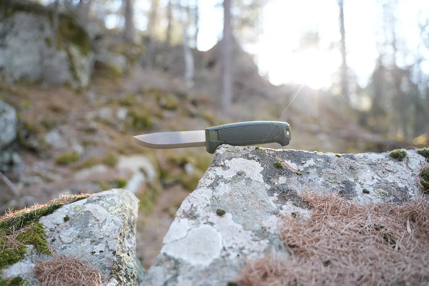 Couteau Morakniv Amberg (S) Vert Forêt (14549) – L'Aventurier Inoxydable