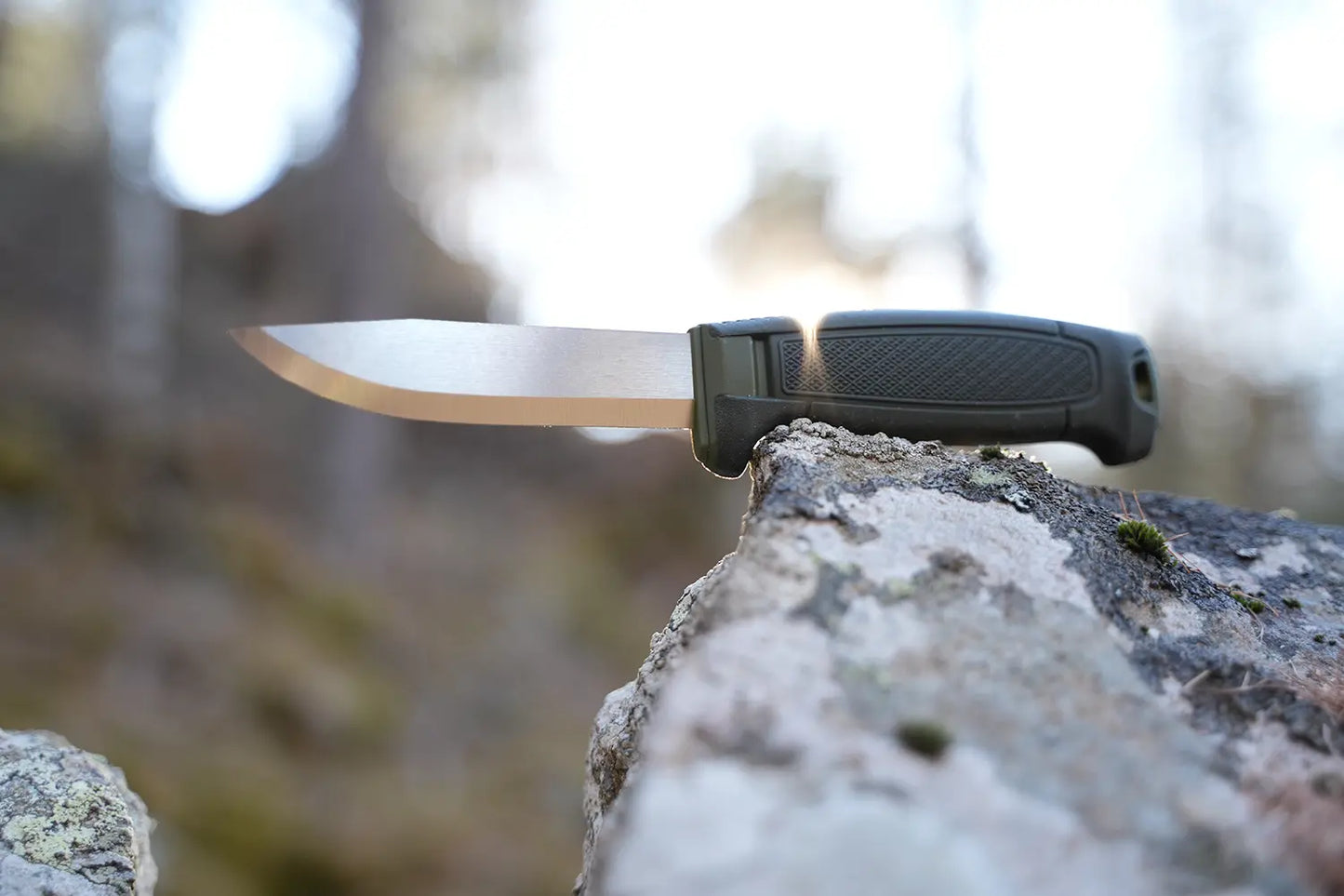 Couteau Morakniv Amberg (S) Vert Forêt (14549) – L'Aventurier Inoxydable