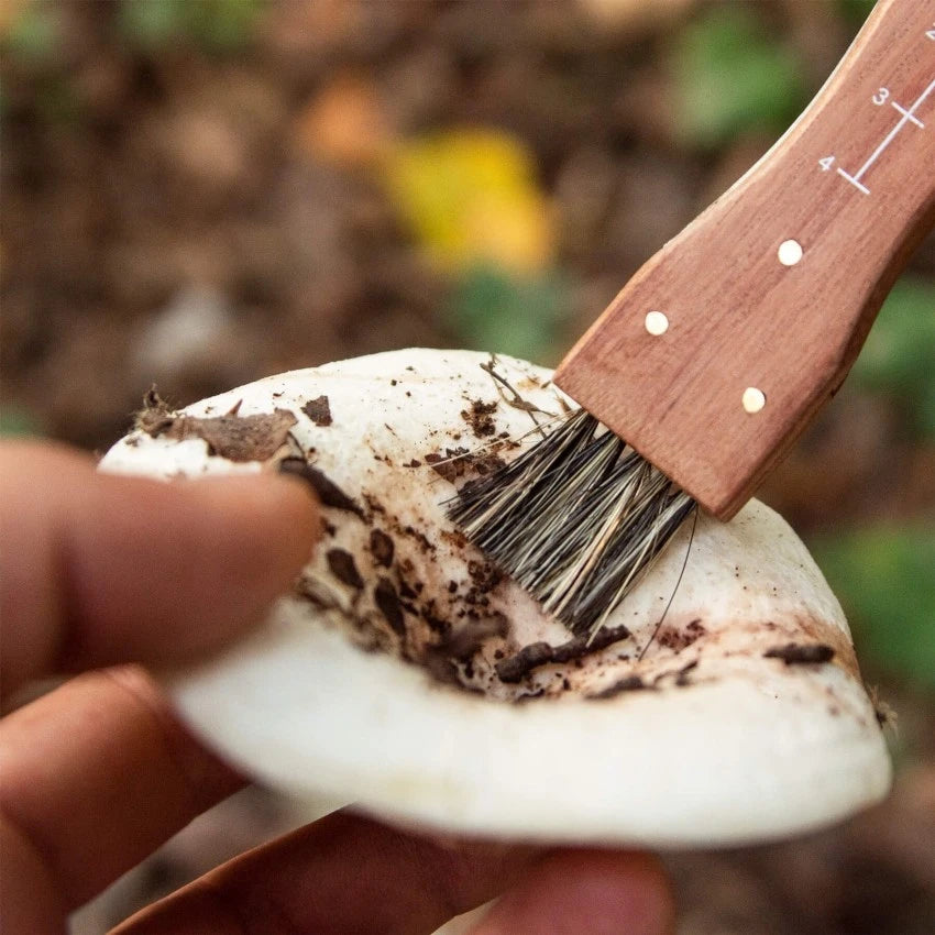 Herbertz Paddestoelenmes 11cm van Roestvrij Staal en Houten Heft