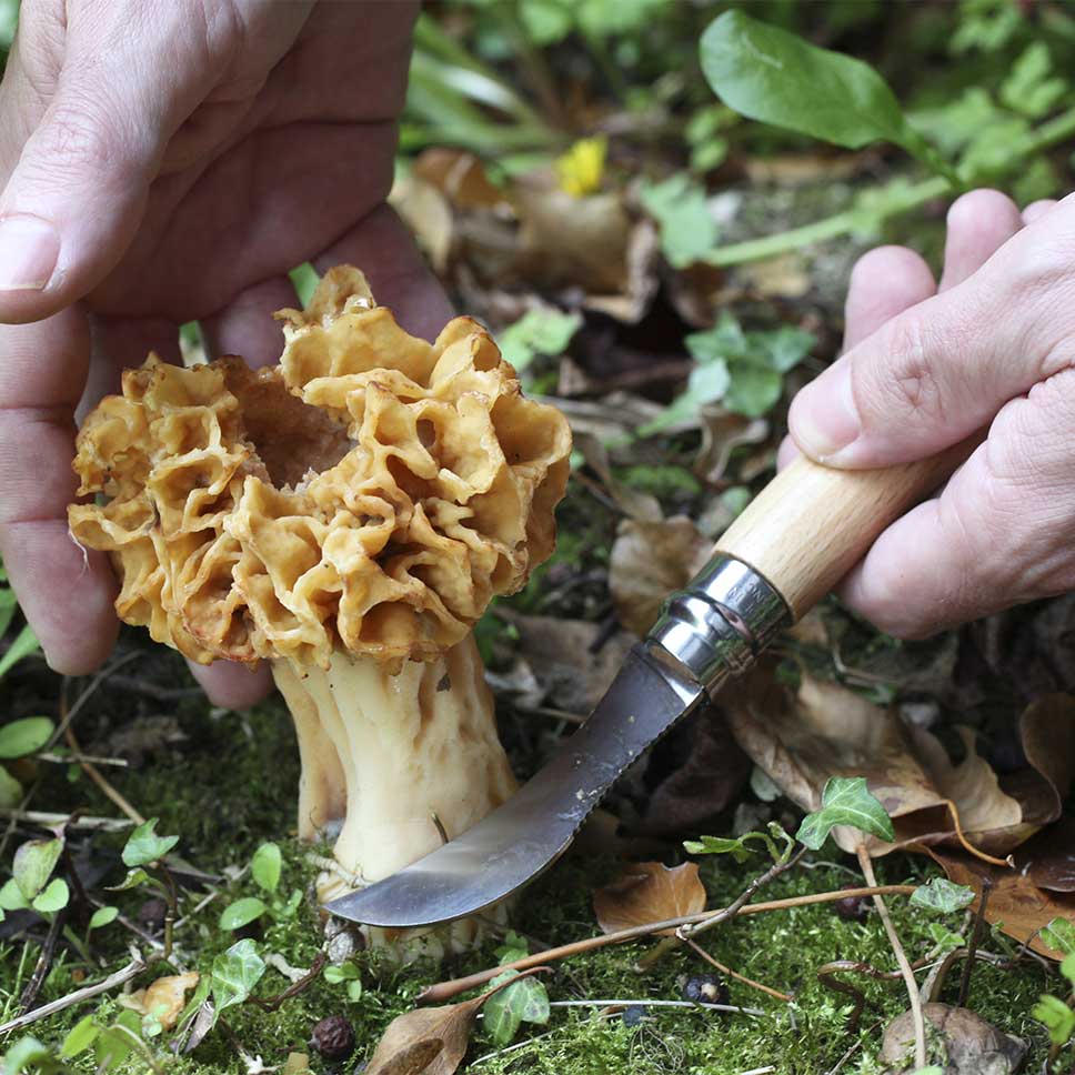 Couteau à Champignons Opinel n°8 VRI Personnalisable : L'Outil du Passionné