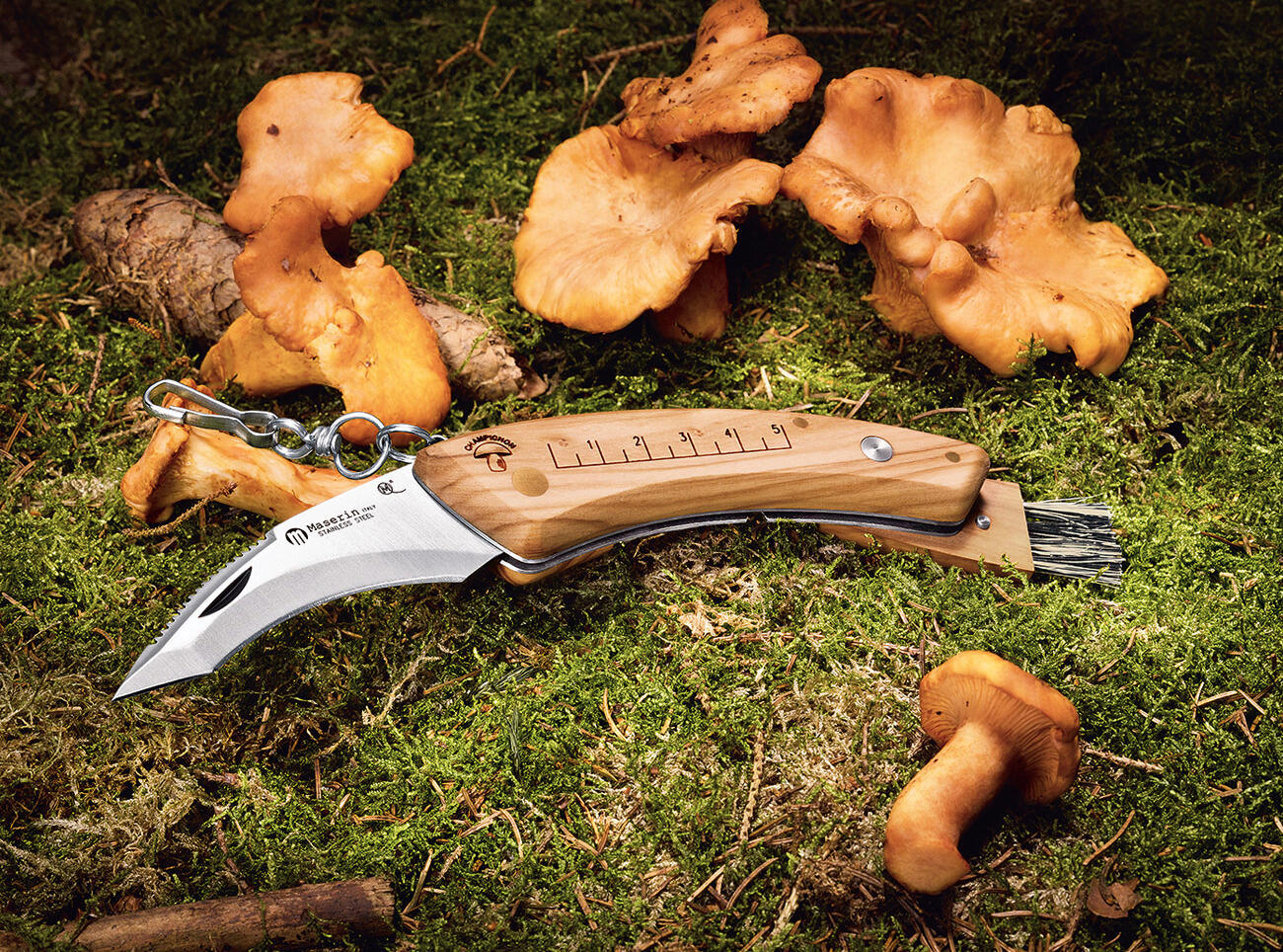 Nož za gljive Maserin 12 cm od bubinga drva